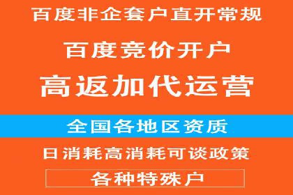 百度竞价赚钱案例：从零到月入过万
