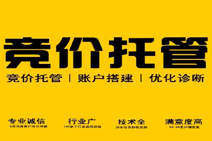 探索百度广告竞价的奥秘：某行业领先企业的投放经验